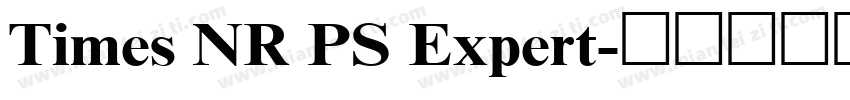 Times NR PS Expert字体转换